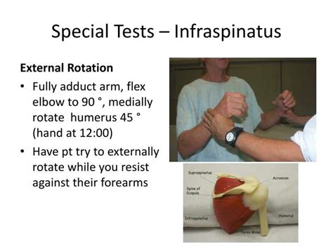 special test for infraspinatus tear|infraspinatus test pdf.